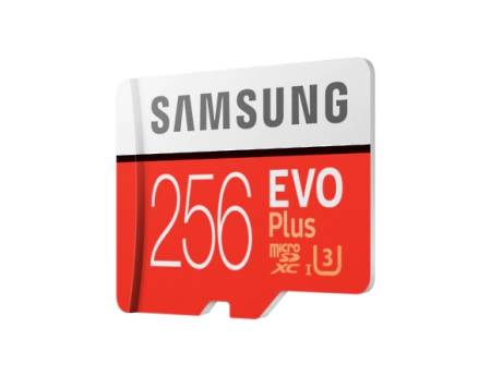 Samsung 256GB micro SD Card EVO+ with Adapter