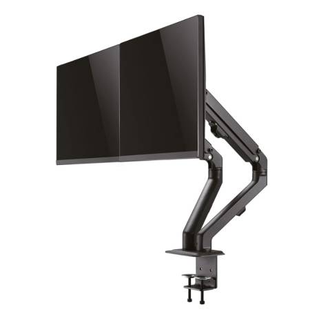 Neomounts Flat Screen Desk Mount (stand/grommet) for 2 screens