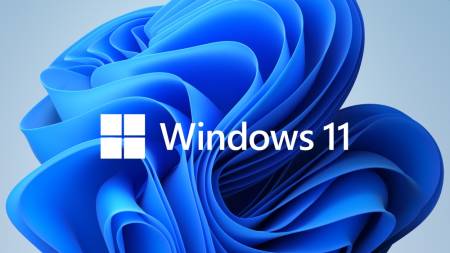 Microsoft Windows 11 Pro for Wrkstns 64Bit English 1pk DSP OEI DVD