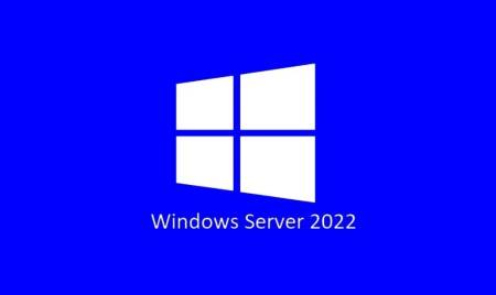 Lenovo Windows Server 2022 CAL (5 Device)