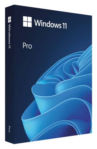 Microsoft Windows Pro 11 64-bit Eng Intl USB RS