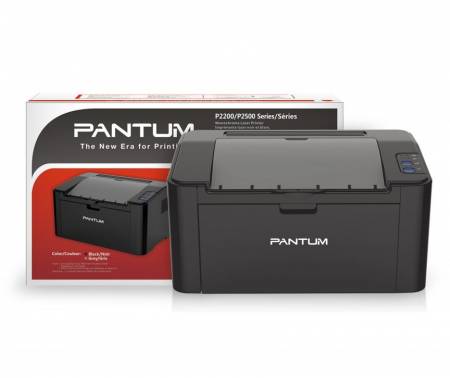 Pantum P2500 Laser Printer