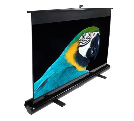 Elite Screen F84NWH