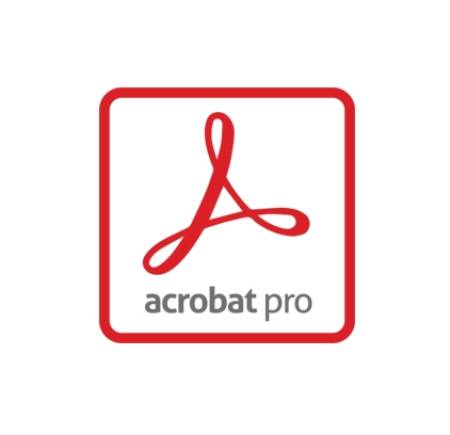 Acrobat Pro DC for teams 1 user 1 year