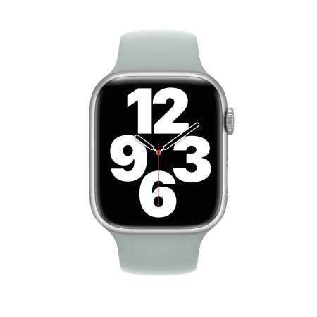 Apple Watch 45mm Succulent Sport Band