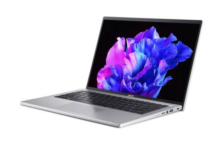 Acer Swift Go 