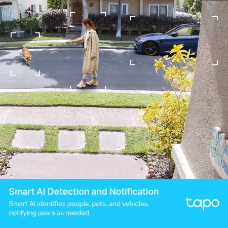 Мрежова камера TP-Link Tapo C400S2 KIT