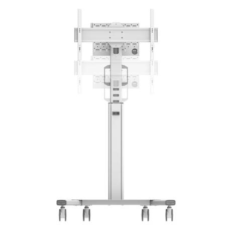 Neomounts Select Mobile Display Floor Stand (37-75") 10 cm. Wheels