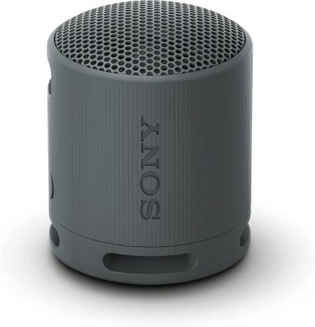 Sony SRS-XB100 Portable Bluetooth Speaker