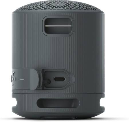 Sony SRS-XB100 Portable Bluetooth Speaker