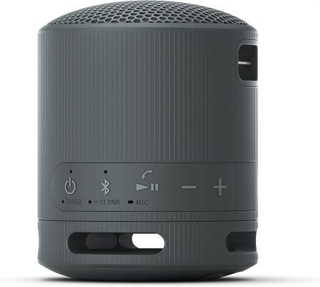 Sony SRS-XB100 Portable Bluetooth Speaker
