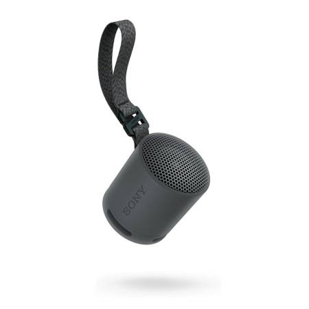 Sony SRS-XB100 Portable Bluetooth Speaker