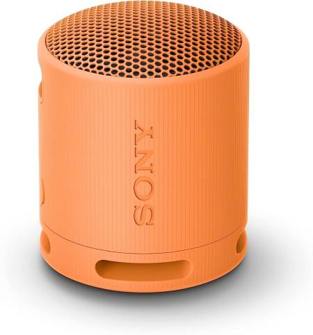 Sony SRS-XB100 Portable Bluetooth Speaker