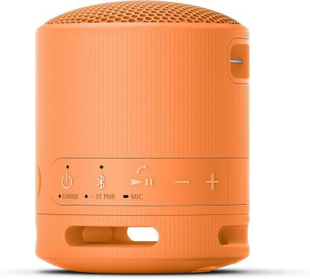 Sony SRS-XB100 Portable Bluetooth Speaker