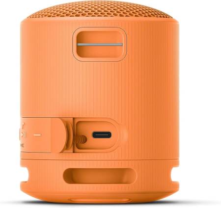 Sony SRS-XB100 Portable Bluetooth Speaker