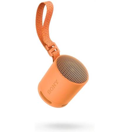 Sony SRS-XB100 Portable Bluetooth Speaker