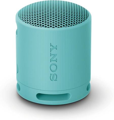 Sony SRS-XB100 Portable Bluetooth Speaker