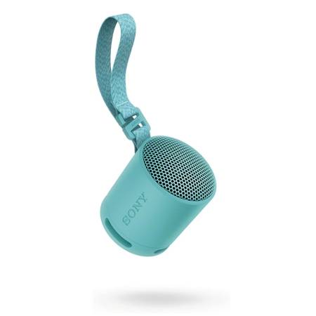 Sony SRS-XB100 Portable Bluetooth Speaker