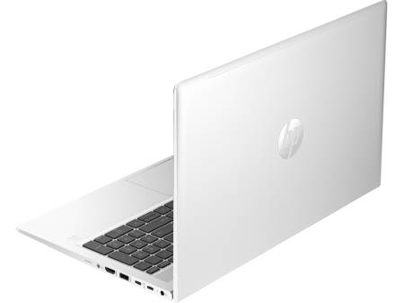 HP ProBook 450 G10 Pike Silver