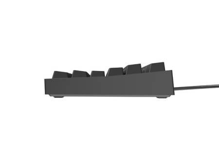 Genesis Gaming Keyboard Thor 404 TKL Black RGB Backlight US Layout Brown Switch