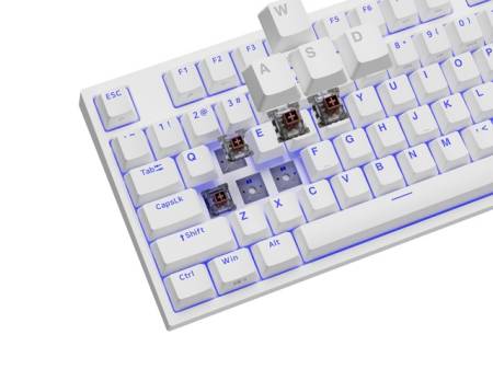 Genesis Gaming Keyboard Thor 404 TKL White RGB Backlight US Layout Brown Switch