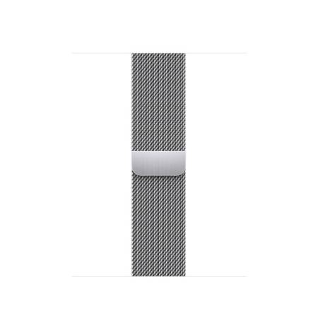 Apple 41mm Silver Milanese Loop