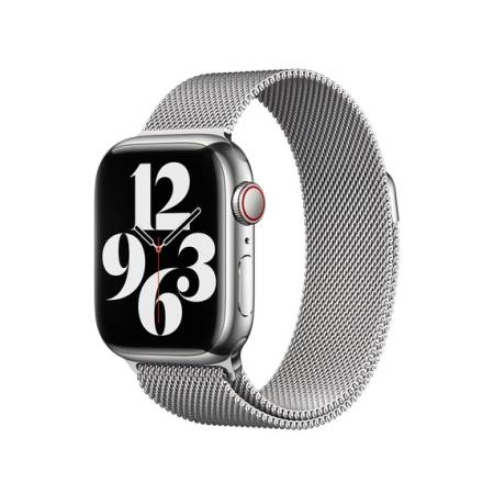 Apple 41mm Silver Milanese Loop