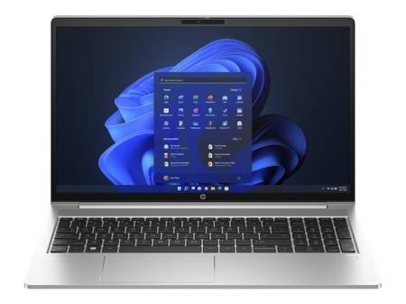HP ProBook 455 G10 Pike Silver