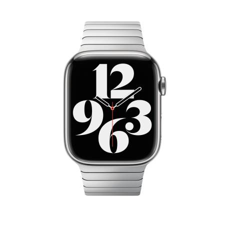 Apple 42mm Link Bracelet