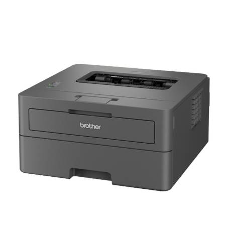 Brother HL-L2402D Laser Printer