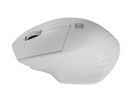 Natec Mouse Siskin Wireless 1600DPI 2.4GHz + Bluetooth 5.0 Optical White