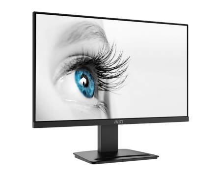 MSI PRO MP2412