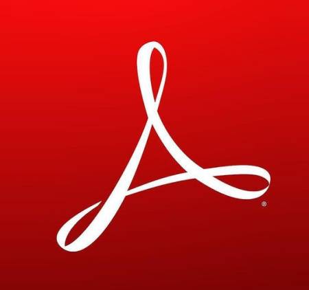 Acrobat Standard DC for teams 1 user 1 year