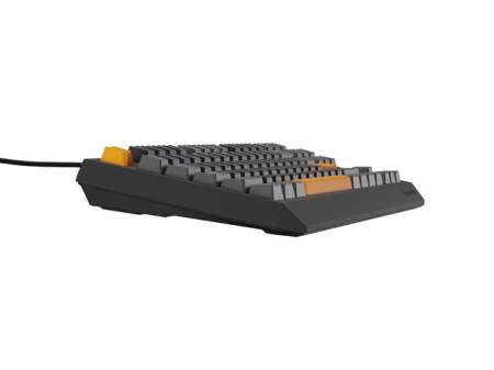 Genesis Gaming Keyboard Thor 230 TKL Anchor Gray Positive US RGB Mechanical Outemu Red