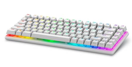 Dell Alienware Pro Wireless Gaming Keyboard - US (QWERTY) (Lunar Light)
