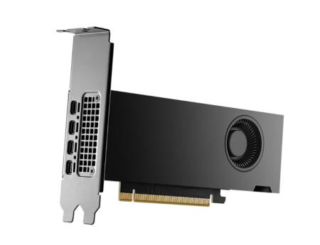 PNY Nvidia RTX 2000 16GB GDDR6 ADA Gen. LP