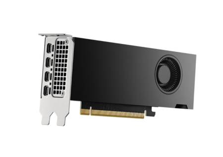 PNY Nvidia RTX 2000 16GB GDDR6 ADA Gen. LP