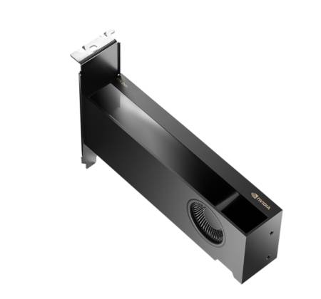 PNY Nvidia RTX 2000 16GB GDDR6 ADA Gen. LP