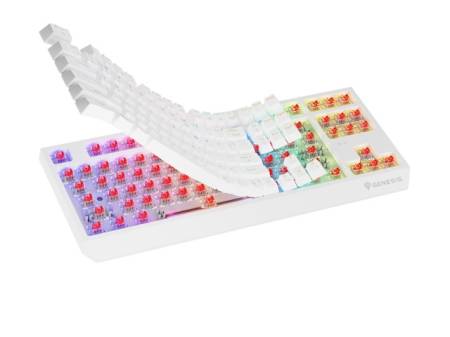 Genesis Gaming Keyboard Thor 230 TKL Wireless US White RGB Mechanical Outemu Red