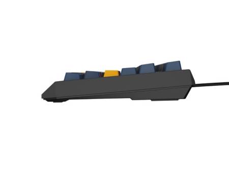 Genesis Gaming Keyboard Thor 230 TKL Naval Blue Negative US RGB Mechanical Outemu Panda