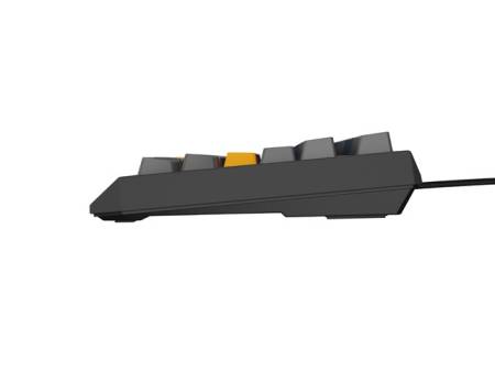 Genesis Gaming Keyboard Thor 230 TKL Naval Blue Positive US Black RGB Mechanical Outemu Panda