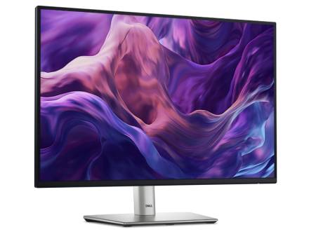 Dell P2425E