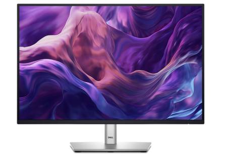 Dell P2425E