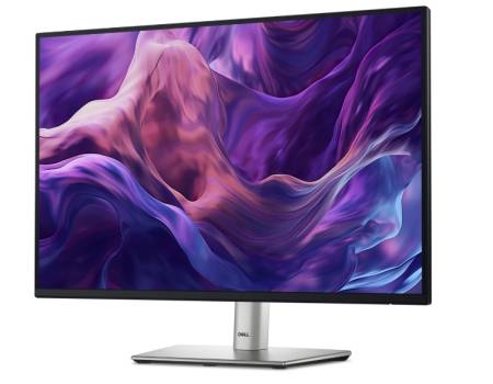 Dell P2425E