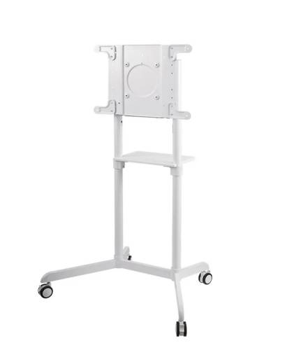 Neomounts Mobile Flat Screen Floor Stand (height: 160 cm)