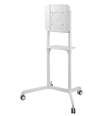 Neomounts Mobile Flat Screen Floor Stand (height: 160 cm)