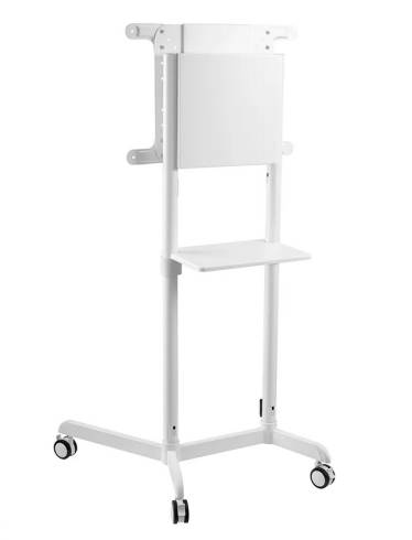Neomounts Mobile Flat Screen Floor Stand (height: 160 cm)