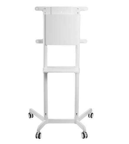 Neomounts Mobile Flat Screen Floor Stand (height: 160 cm)