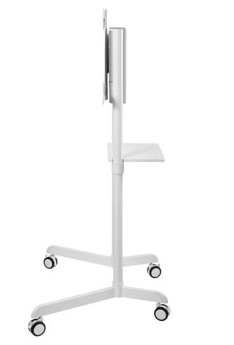 Neomounts Mobile Flat Screen Floor Stand (height: 160 cm)