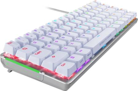 Asus ROG Falchion Ace 65% compact gaming keyboard with pre-lubed ROG NX mechanical switches with ROG switch stabilizer